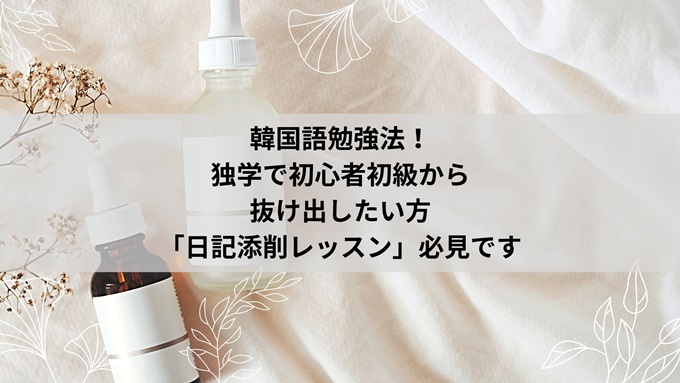 韓国語勉強法 独学で初心者初級から抜け出したい方 日記添削レッスン 必見です 旅する Makoブログ